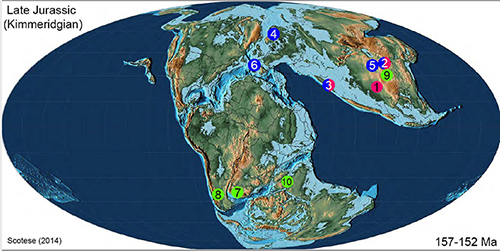 distribucion-de-ricciopsis-en-el-mesozoico