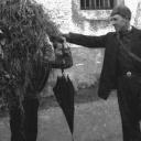 Image Retaguardia