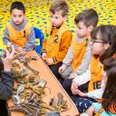 Bild Taller infantil Excava y descubre