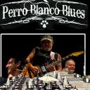 Imagen Sesión vermú con Perro Blanco Blues