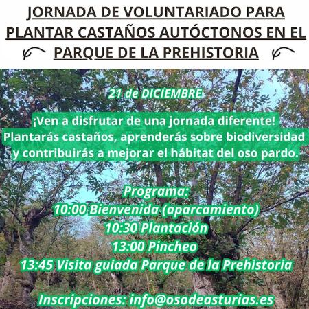 Jornada de voluntariado para plantar castaños autóctonos en el Parque de la Prehistoria