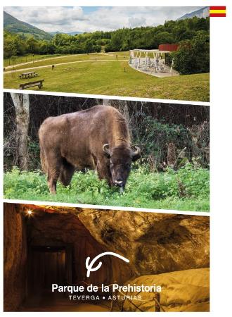 Imagen Guía de mano (español)