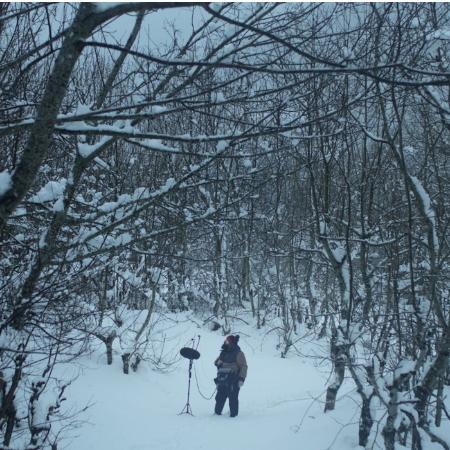 Valle blanco, gallo negro