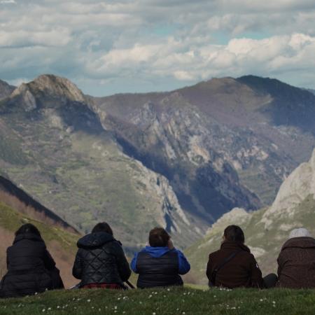 Valle blanco, gallo negro