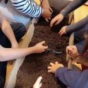 Imagen Conociendo el azabache 