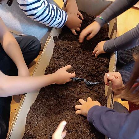 Conociendo el azabache 