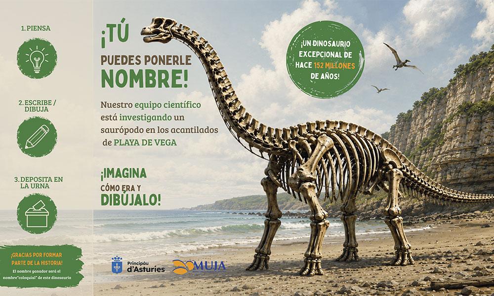 Ir a Imagen Las personas que visiten el MUJA pondrán nombre al gran dinosaurio hallado en los acantilados de Ribadesella