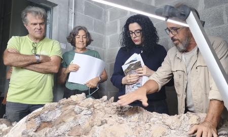 Imagen El equipo científico del MUJA avanza en los trabajos de preparación y recuperación de los restos fósiles de un gran dinosaurio saurópodo en los acantilados de Ribadesella