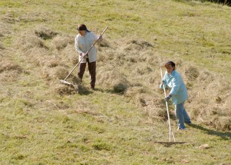 Imagen Manual de la siega