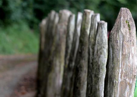 Imagen L´estragal prostreru