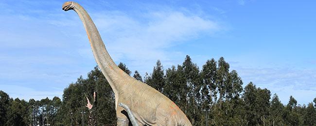 Ir a Imagen El Museo presenta una nueva escena de Brachiosaurus en el Jardín