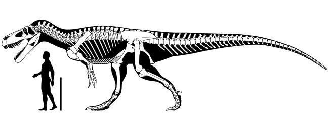 Ir a Imagen Aparecen en Asturias diversos huesos y huellas de los mayores dinosaurios carnívoros de Europa
