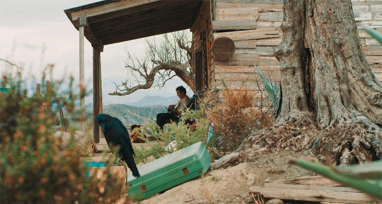 Ir para Imagem El realizador gallego Andrés Goteira presenta en Laboral Cinemateca su primer largometraje Dhogs